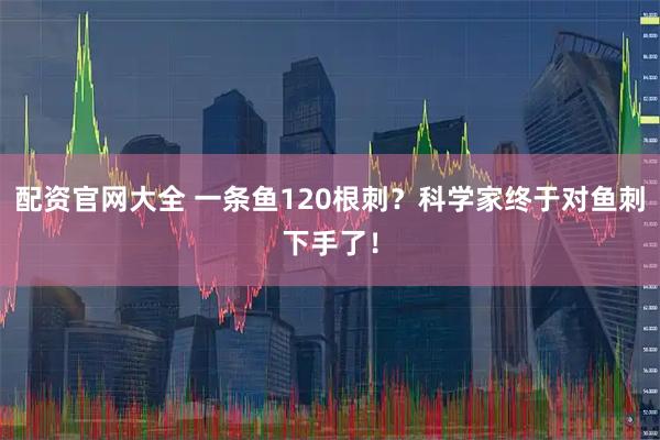 配资官网大全 一条鱼120根刺?科学家终于对鱼刺下手了!